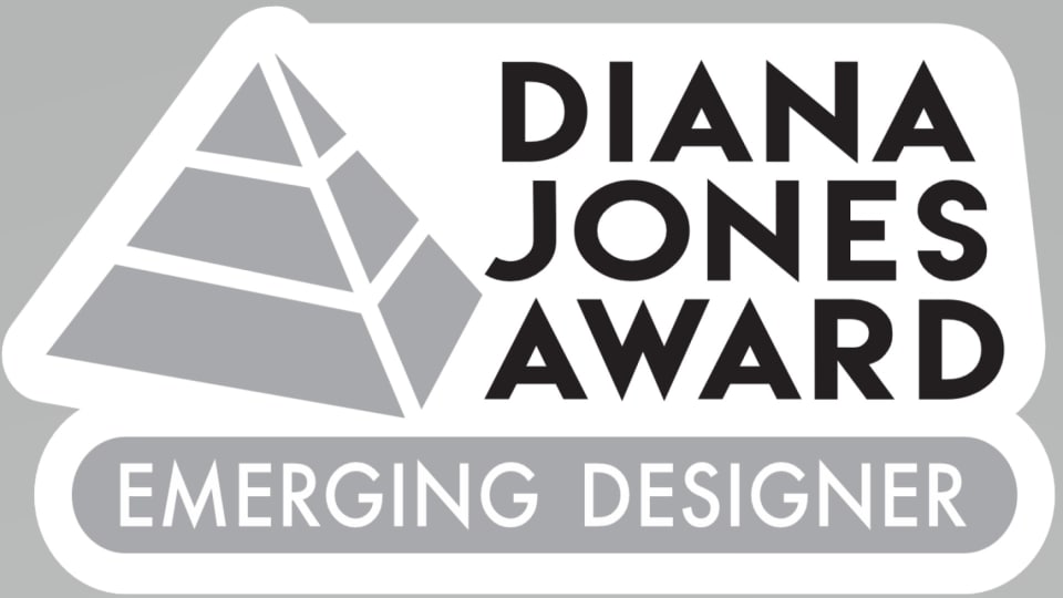 A grayscale pyramid with the text "Diana Jones Award" in black text on the right.