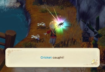 Catching a Cricket