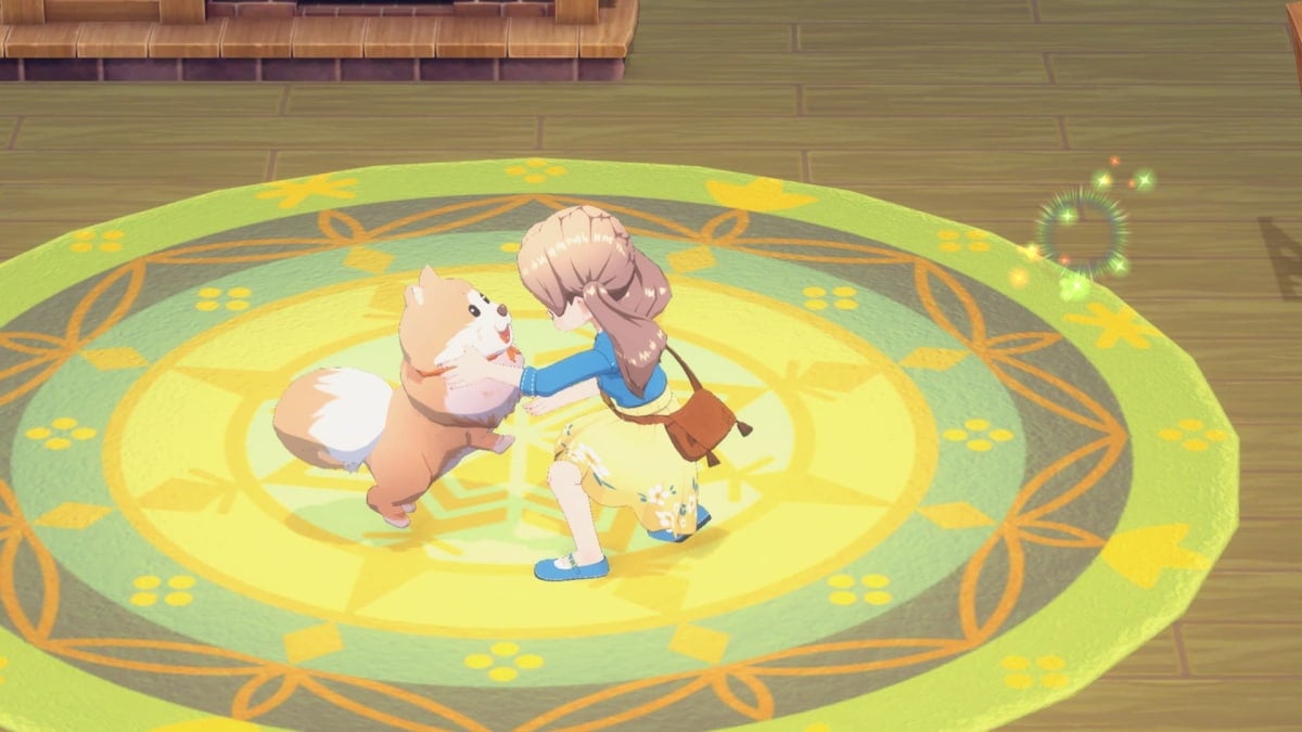 playing with pet in Story of Seasons Grand Bazaar 