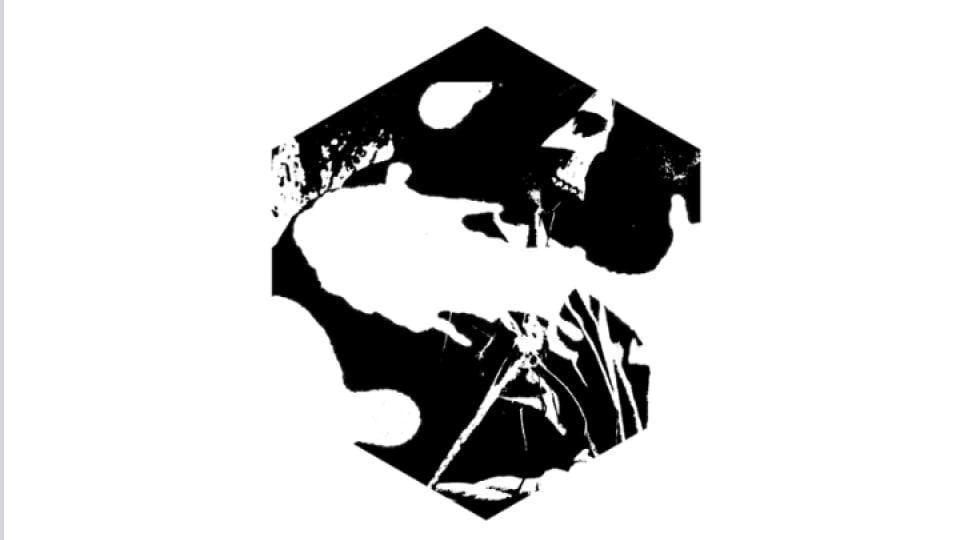 An abstract image of a skull and a comet contained in a black hexagon.