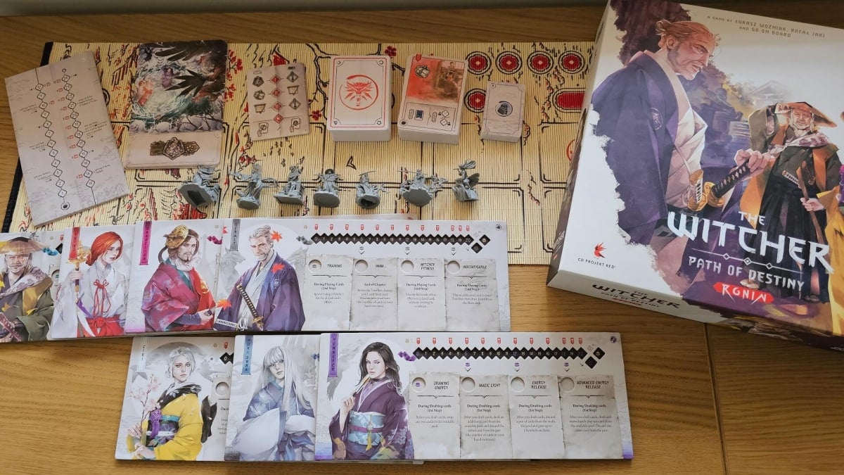 The Witcher Path of Destiny Ronin.